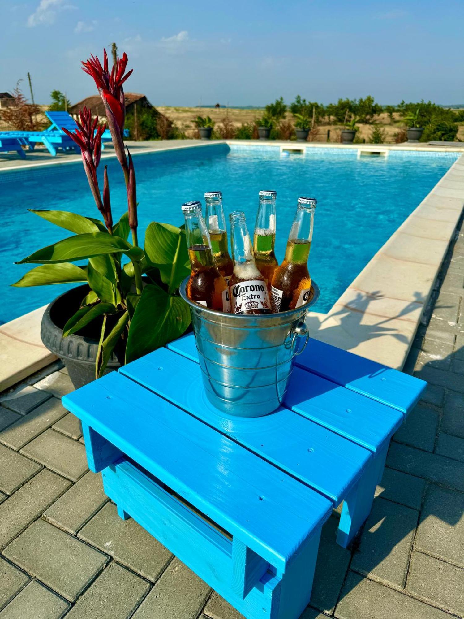 Danube Delta View Hotel Dunavăţu de Jos Екстериор снимка