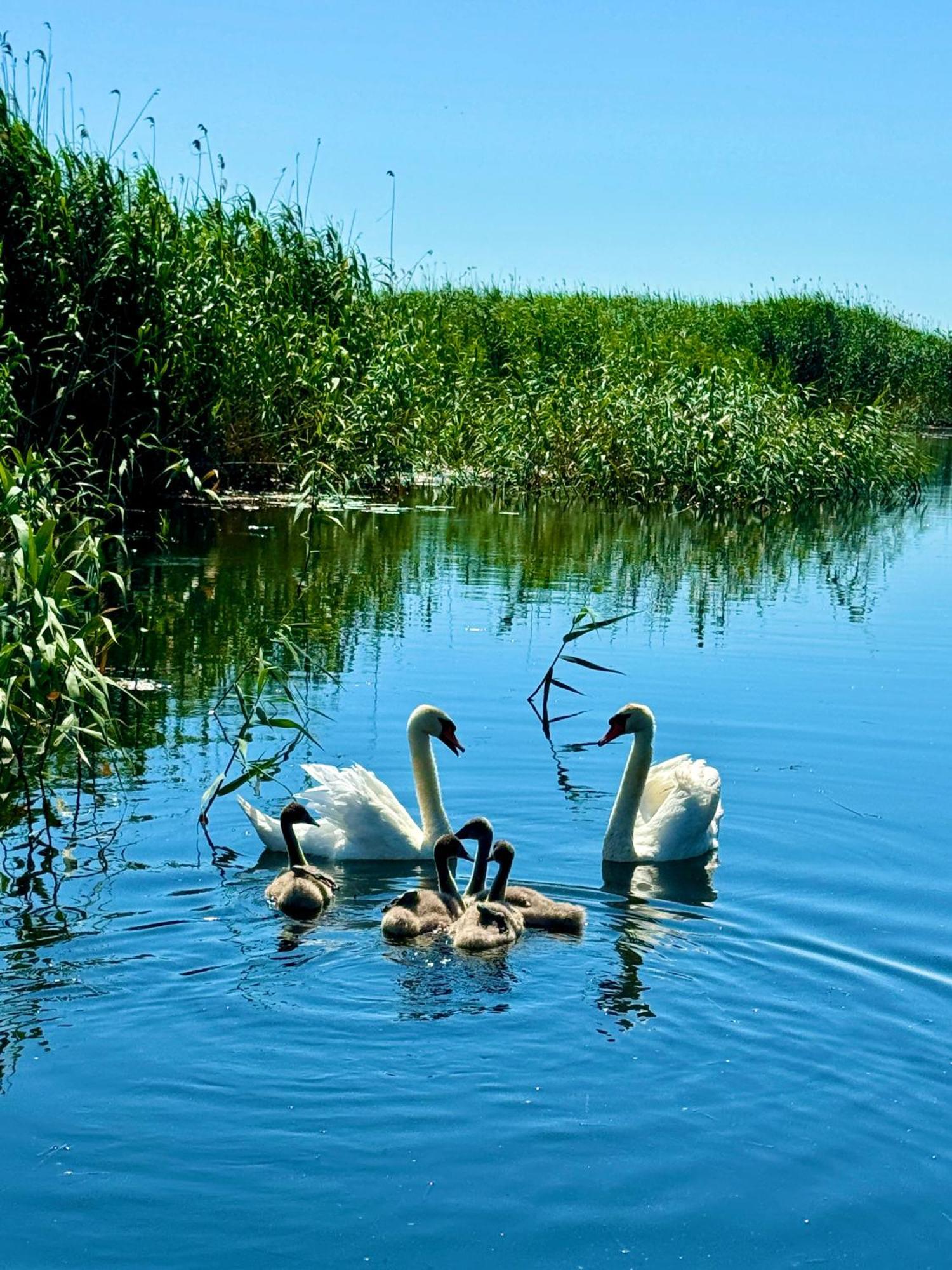 Danube Delta View Hotel Dunavăţu de Jos Екстериор снимка