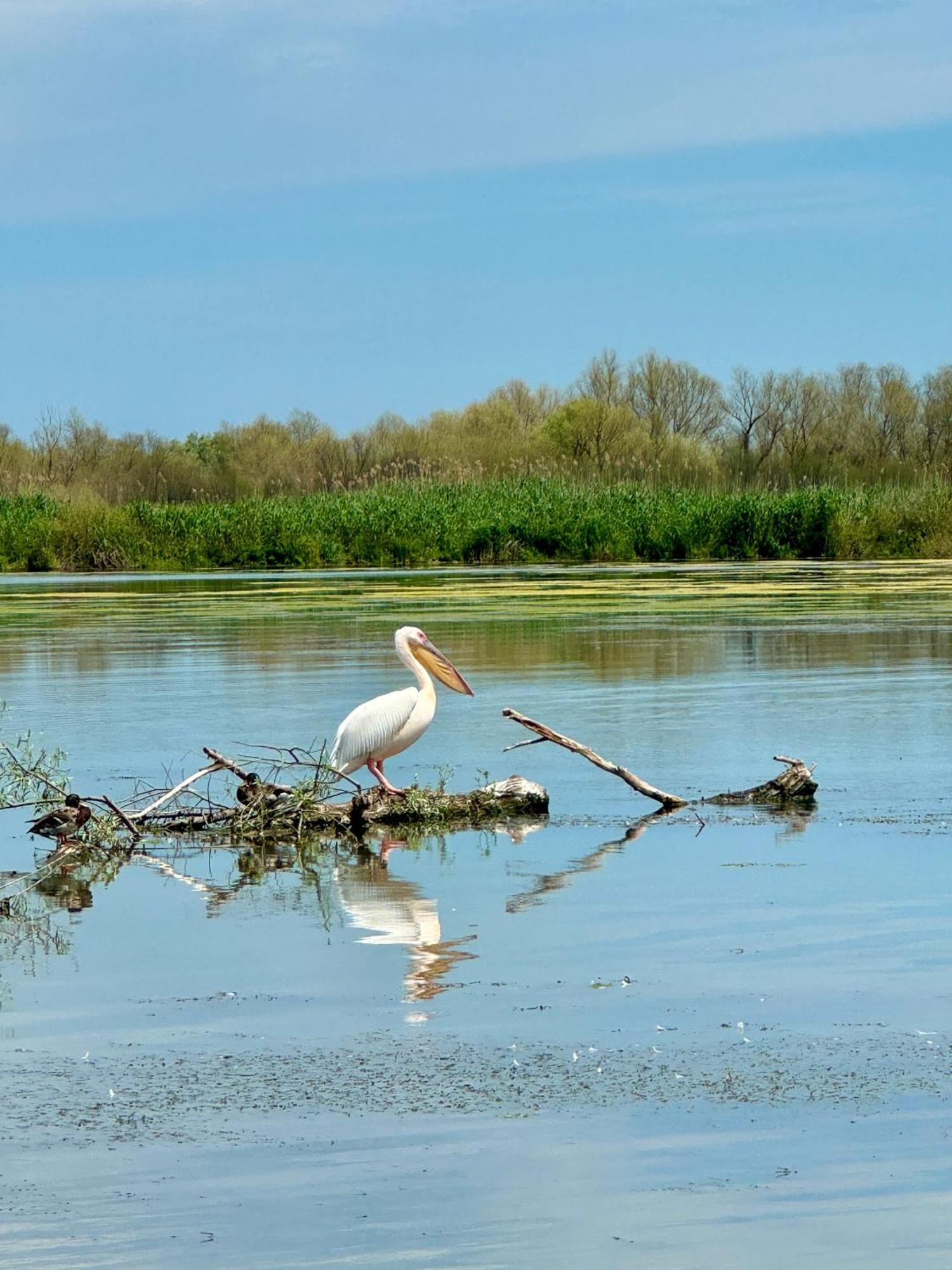 Danube Delta View Hotel Dunavăţu de Jos Екстериор снимка